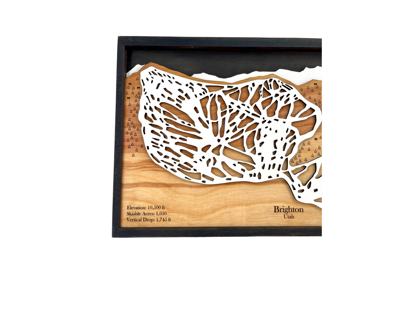 Brighton Ski Resort Wooden Trail Map